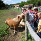 Nyári napközis tábor Kaposszekcsőn