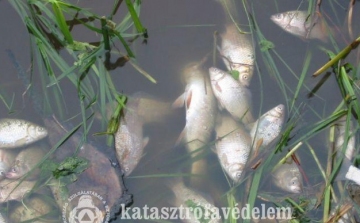 Kölesdnél tart a szennyezési hullám a Kaposon